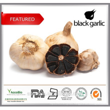 Wholesale High Quality black garlic extract, 3% polyphenol 3% flavone